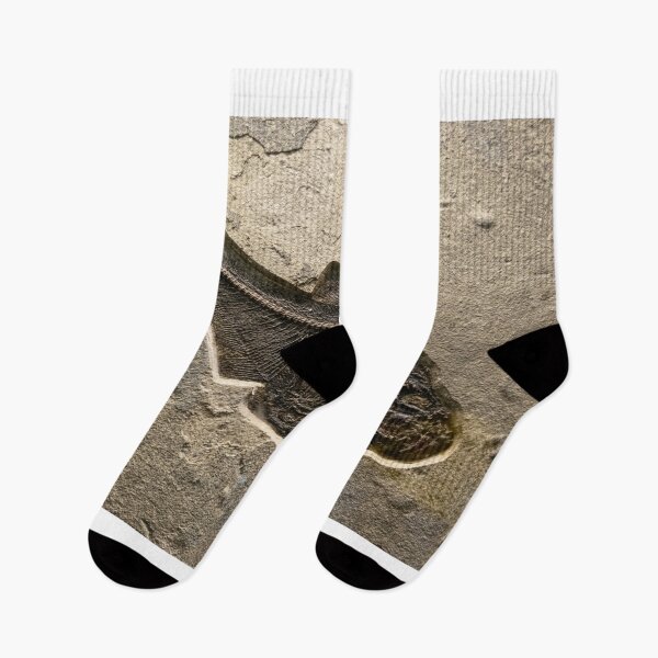 Item preview, fish fossil. designed and sold by cheechlaroo13.