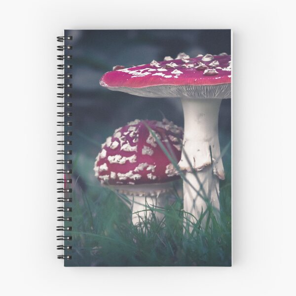 Item preview, Fly Agarics I designed and sold by rodriguesfhs.