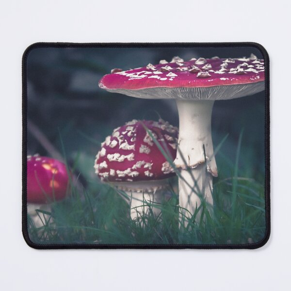 Item preview, Fly Agarics I designed and sold by rodriguesfhs.