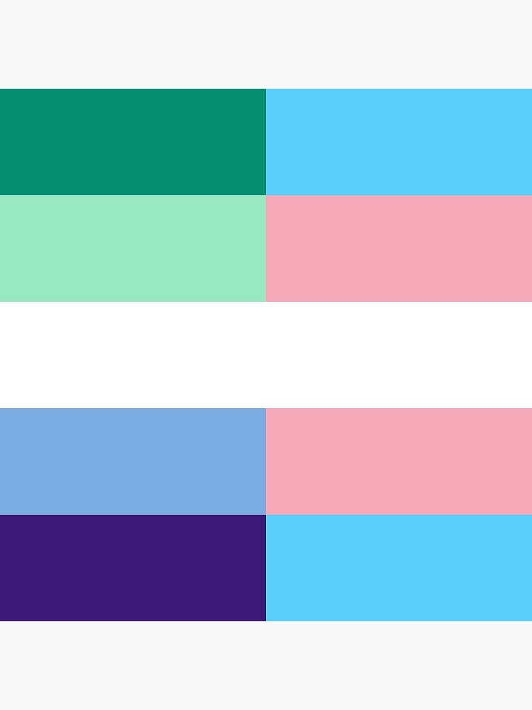 Trans Man Flag  Trans flag, Gender flags, Trans man