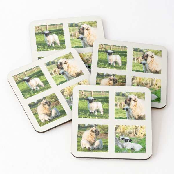 Item preview, Valais Blacknose Sheep Collection designed and sold by Jane Stanley Photography.