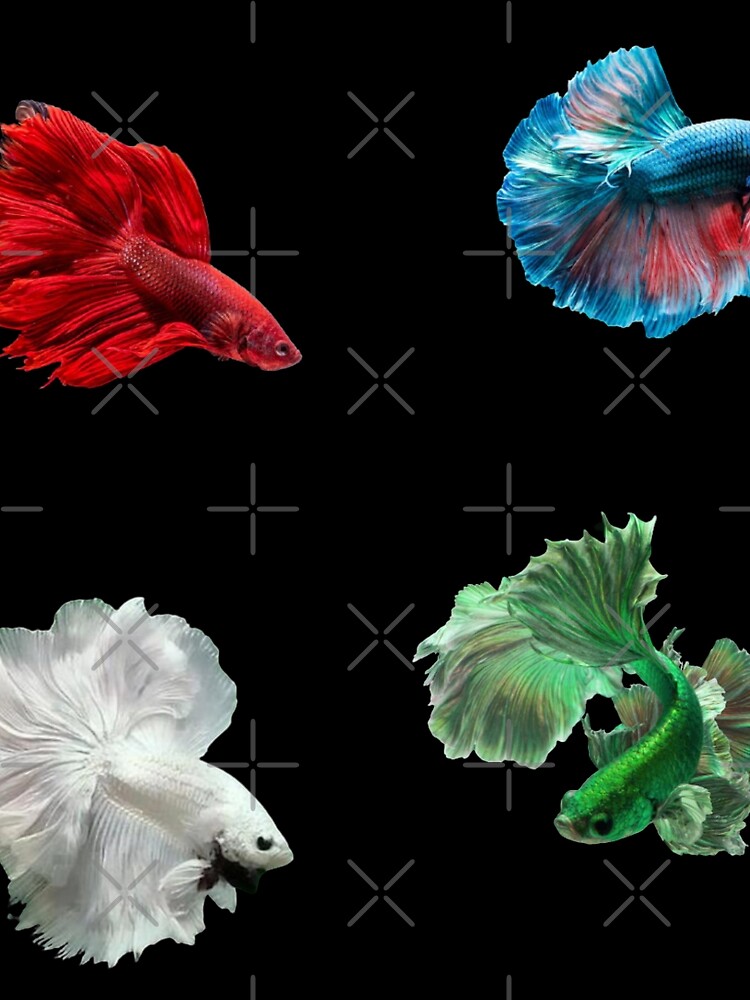 Thumbnail 3 of 3, Scarf, Betta Fish Pattern designed and sold by SillyFun.