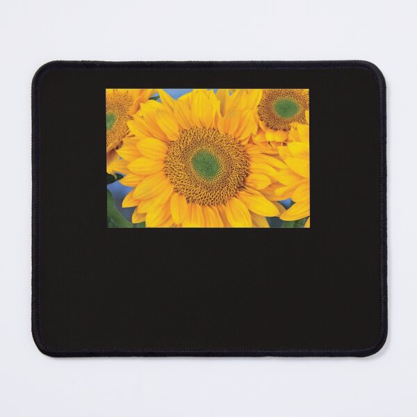 Item preview, Common Sunflower Group Showing Symmetrical Seed Heads   Classic . designed and sold by diazcelia94.