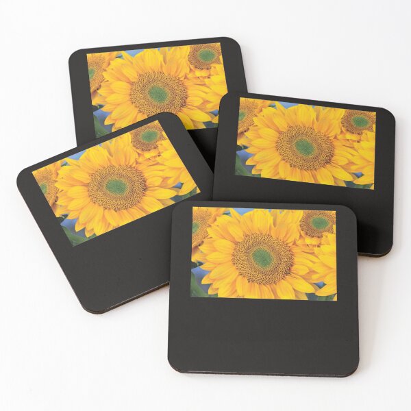 Item preview, Common Sunflower Group Showing Symmetrical Seed Heads   Classic . designed and sold by diazcelia94.