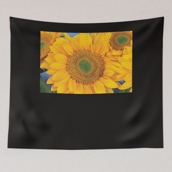 Item preview, Common Sunflower Group Showing Symmetrical Seed Heads   Classic . designed and sold by diazcelia94.