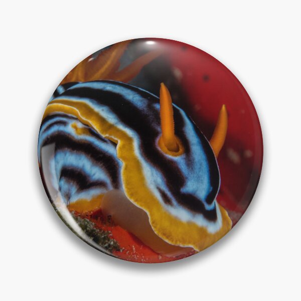 Item preview, nudibranch / seaslug designed and sold by SalvaDiLauroUWP.
