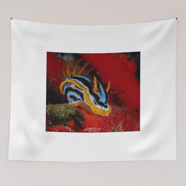 Item preview, nudibranch / seaslug designed and sold by SalvaDiLauroUWP.