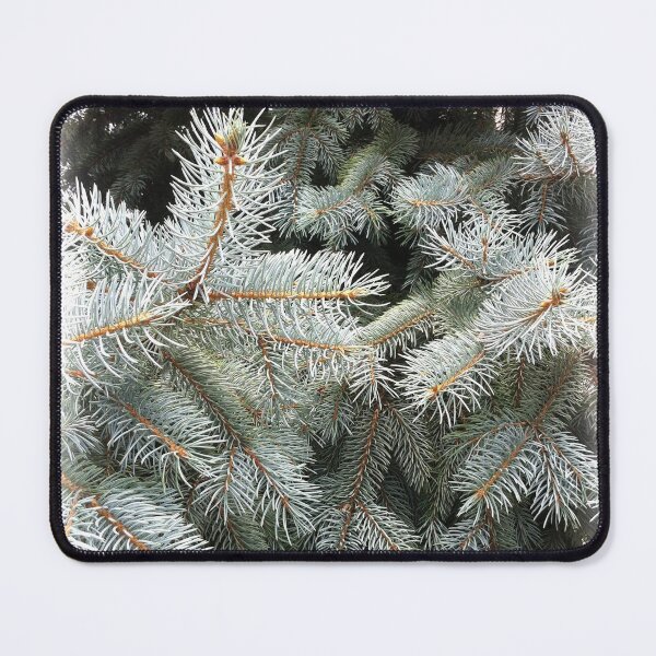 Item preview, Silver Fir from A Gardener's Notebook designed and sold by Douglas E. Welch Design and Photography.