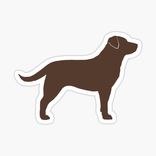 Chocolate Lab in a Yeti Cooler  Sticker for Sale by Cactus0