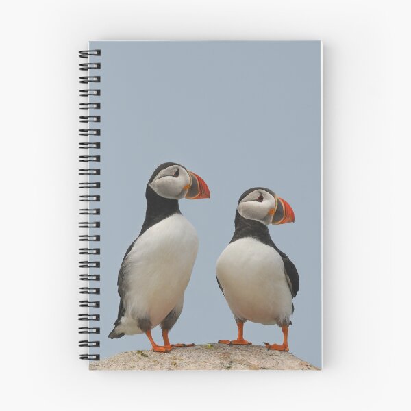 Item preview, Atlantic Puffin Pair Looking East designed and sold by LindaCPhoto.