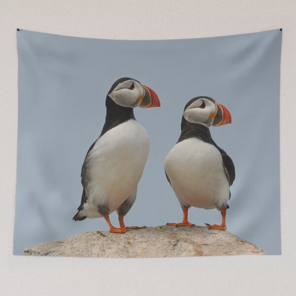 Item preview, Atlantic Puffin Pair Looking East designed and sold by LindaCPhoto.