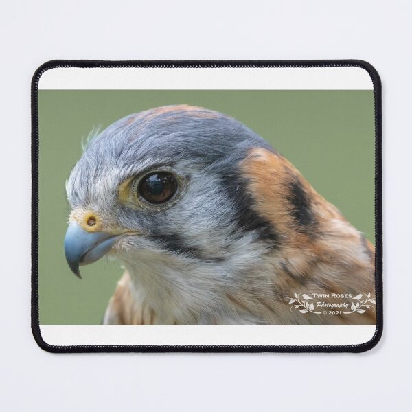 Item preview, Though She Be but Little, She is Fierce - American Kestrel designed and sold by twinroses.