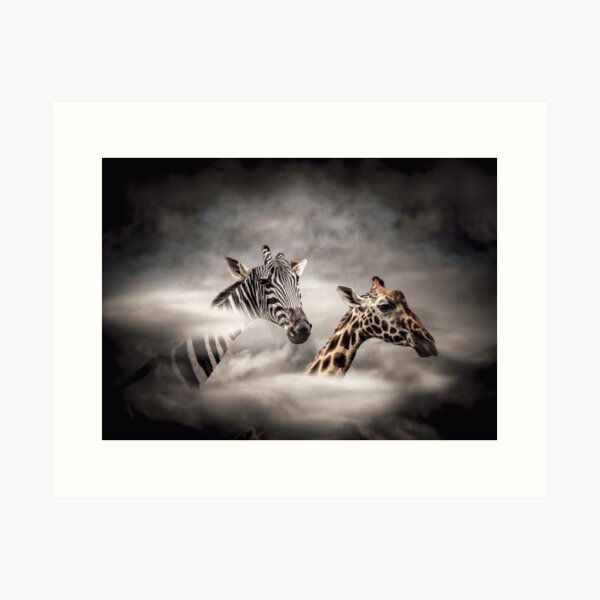 The giraffe who dreamed of being a zebra Art Print