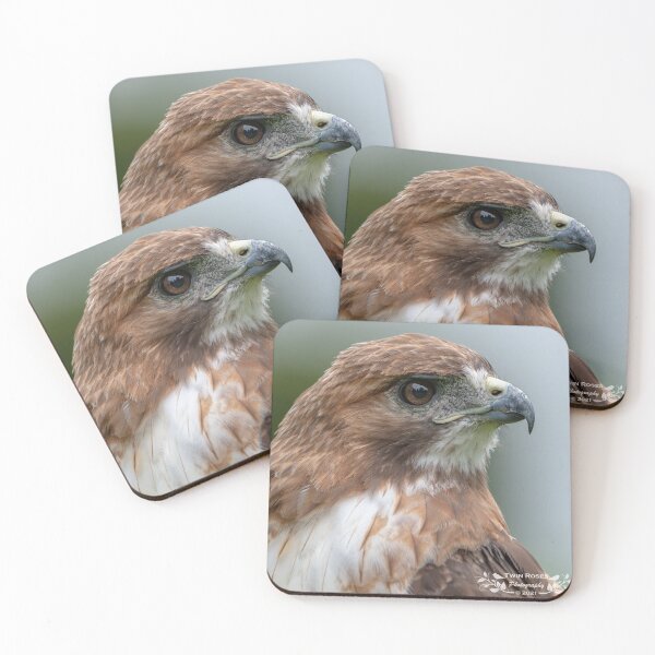 Item preview, With Intent - Red-Tailed Hawk designed and sold by twinroses.