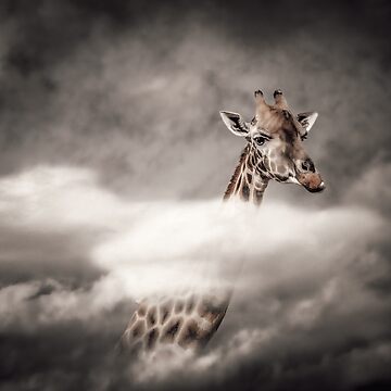 Aperçu de l'œuvre Girafe dans les nuages - VH - A de Gaelle-Sunshine