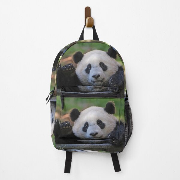 Item preview, Giant Panda Xiao Qi Ji at the National Zoo designed and sold by Zoo and Nature Photography by Karie.