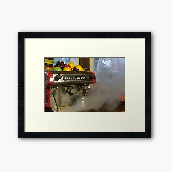 Letting off Steam. Adelaide Artist Avril Thomas at Magpie Springs Framed Art Print