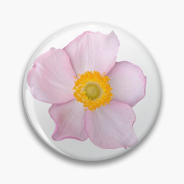 Item preview, Pink Anemone Flower Still Life Floral Photography designed and sold by CottoVerdi.