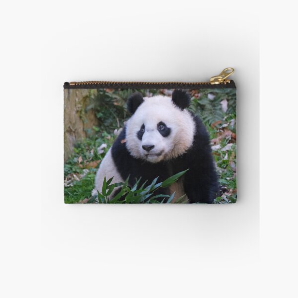 Item preview, Giant Panda Xiao Qi Ji at the National Zoo designed and sold by Zoo and Nature Photography by Karie.