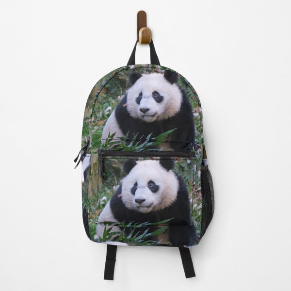 Item preview, Giant Panda Xiao Qi Ji at the National Zoo designed and sold by Zoo and Nature Photography by Karie.