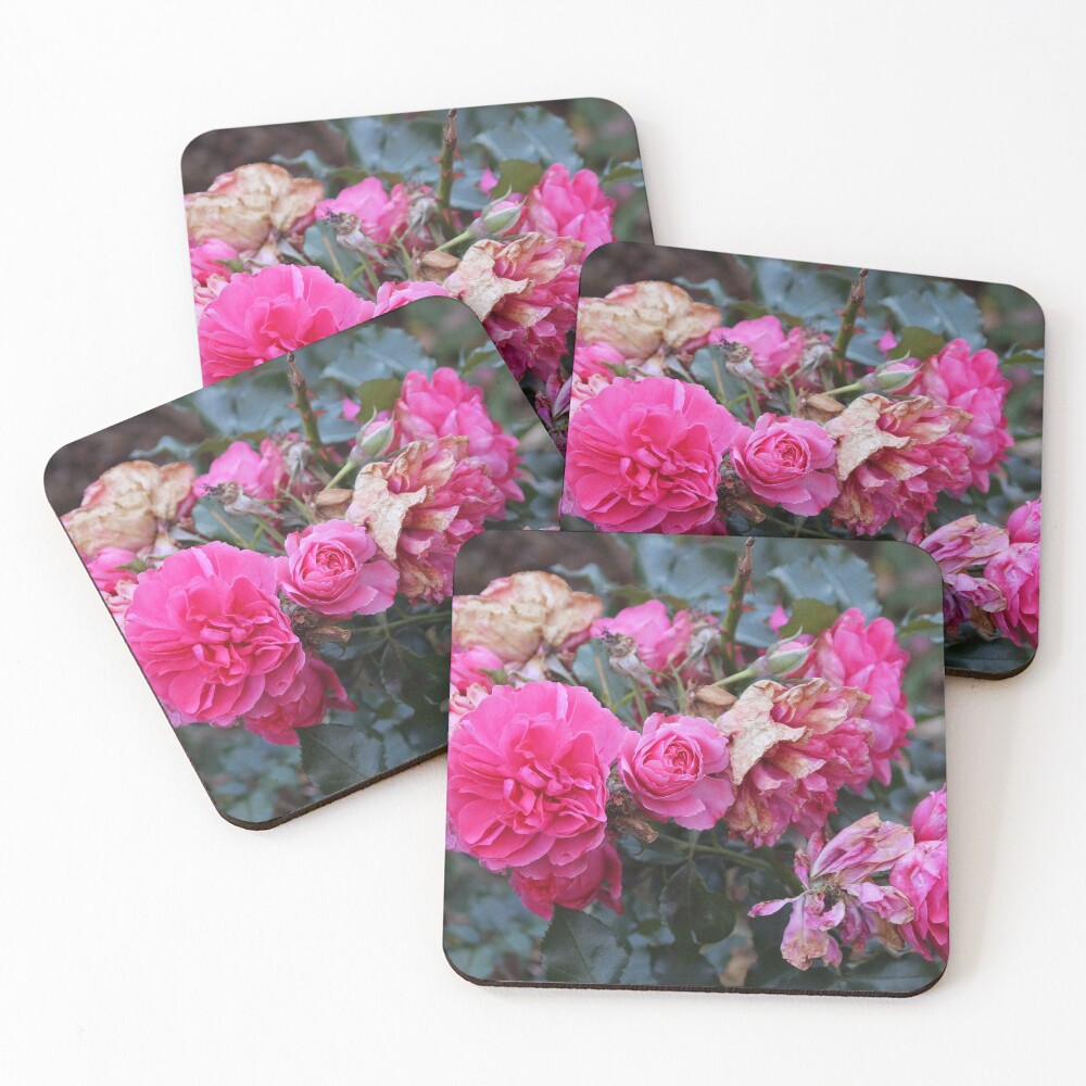 Item preview, Coasters (Set of 4) designed and sold by Firefellow.