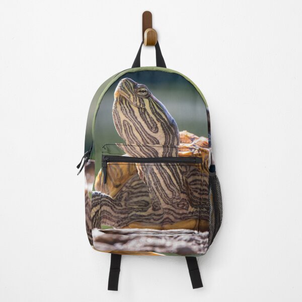 Item preview, Central Park Turtle designed and sold by ILD-Photography.