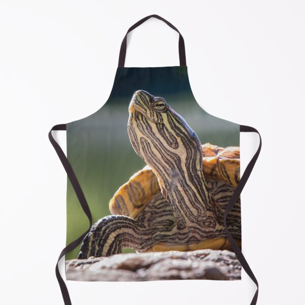Item preview, Central Park Turtle designed and sold by ILD-Photography.