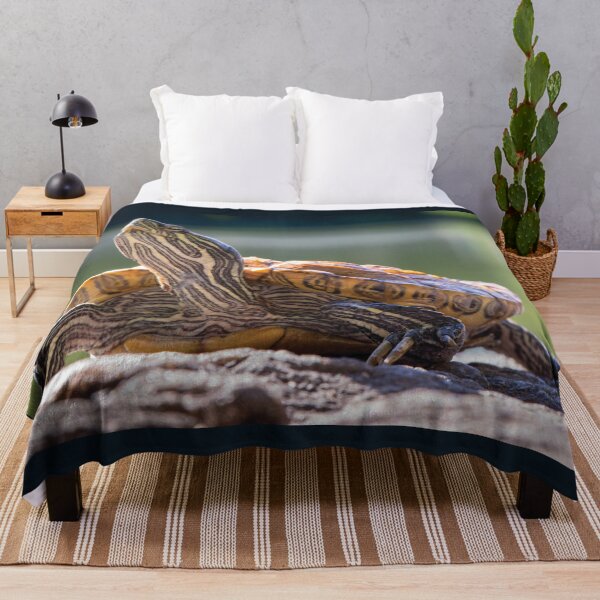 Item preview, Central Park Turtle designed and sold by ILD-Photography.