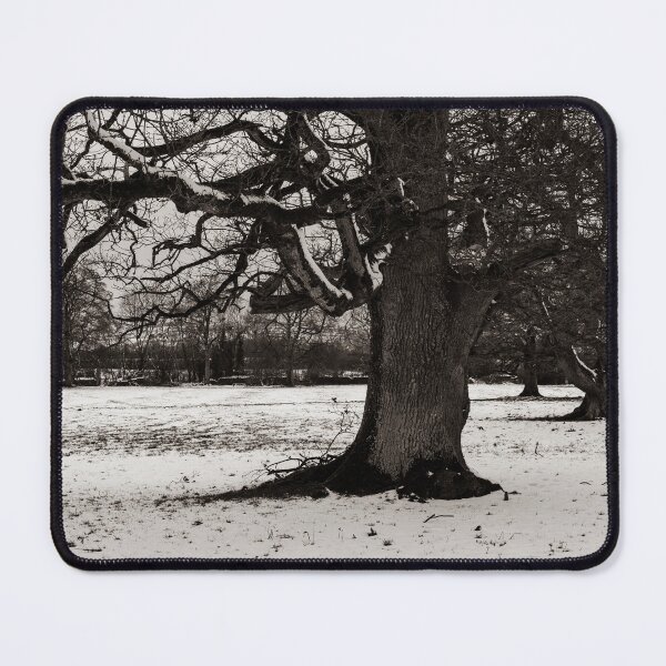 Item preview, Royal Irish Oaks designed and sold by Brian Dwyer.