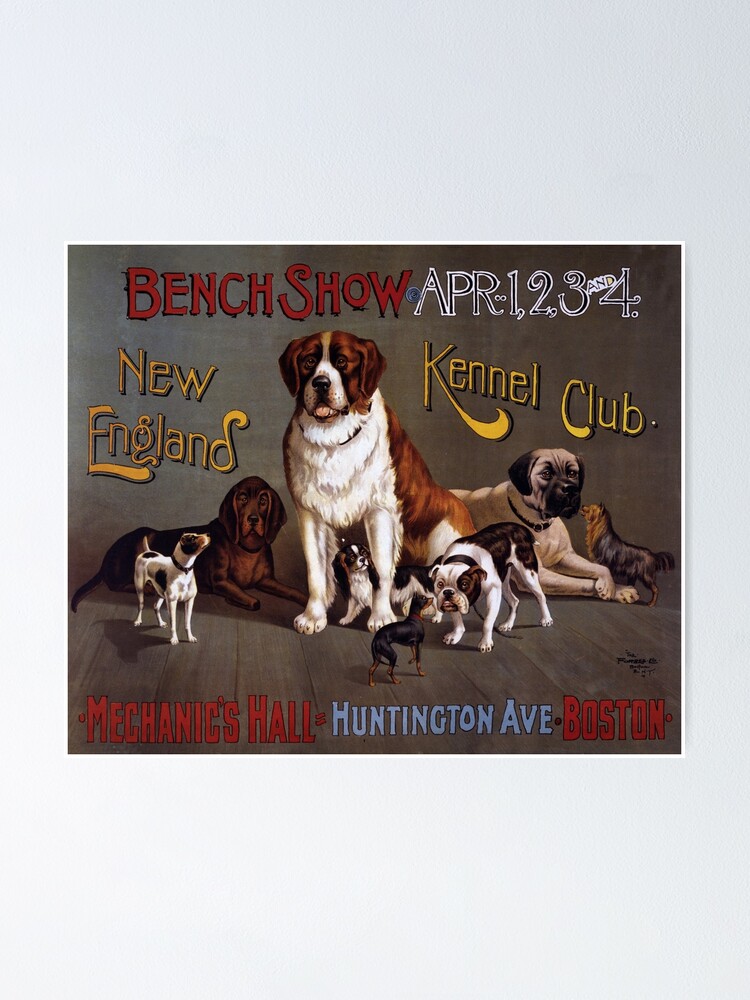 "Vintage Dog Show poster" Poster for Sale by cjgraphic Redbubble