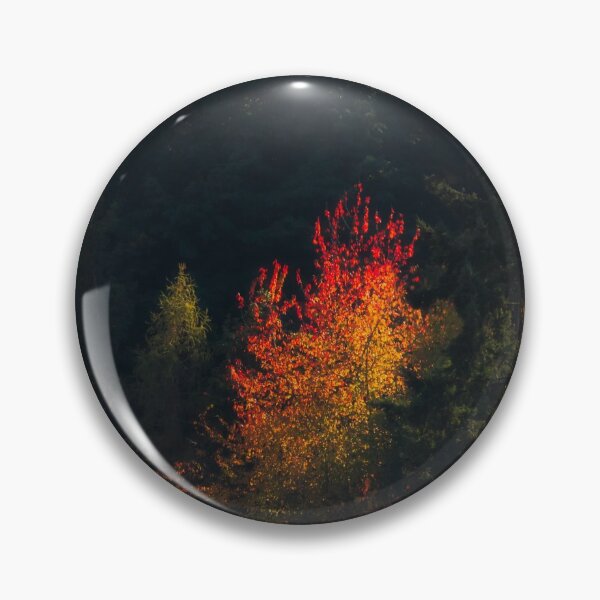 Item preview, splash of Autumn light designed and sold by Brian  Dwyer.