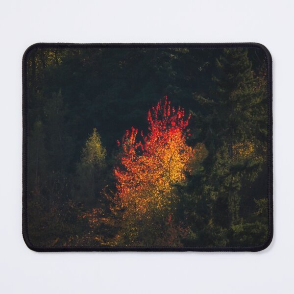 Item preview, splash of Autumn light designed and sold by Brian  Dwyer.