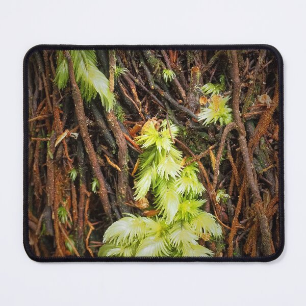 Item preview, Moss on treefern designed and sold by migawadesign.
