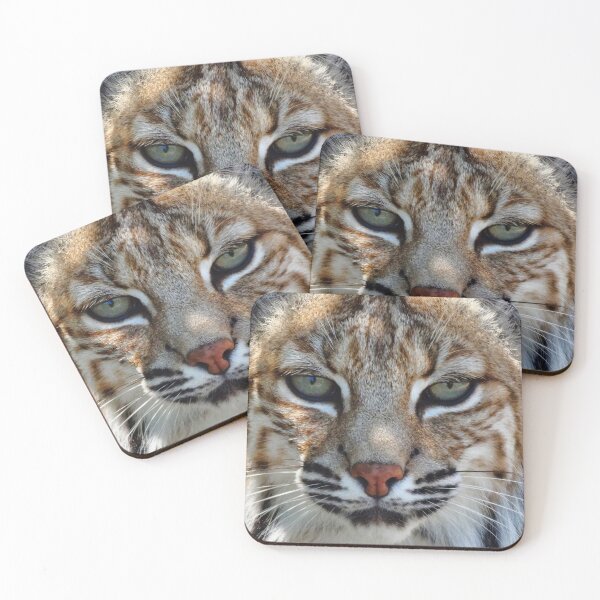 Item preview, Bobcat face, Lynx, bobcat eyes. designed and sold by Oksanka21.