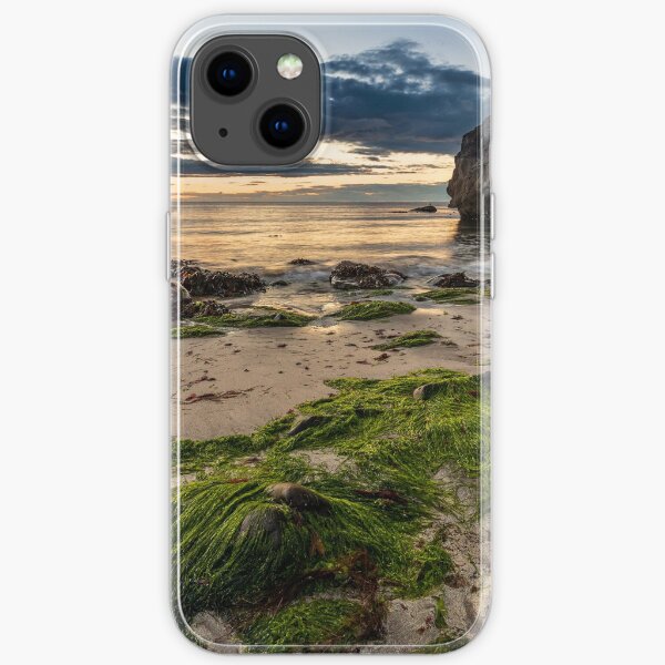 Pettico Wick Harbour, St Abb's Head iPhone Soft Case