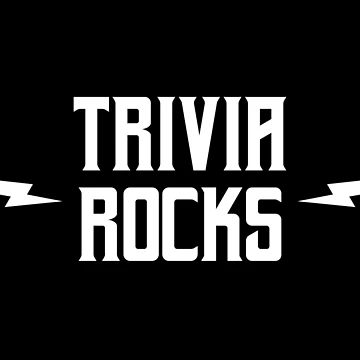 Artwork thumbnail, Trivia Rocks by teesaurus
