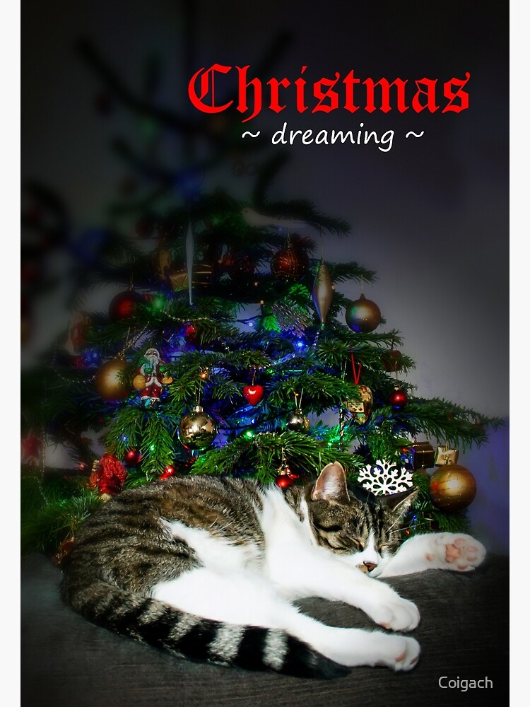 Thumbnail 2 of 2, Greeting Card, Greeting Card: Christmas Dreaming designed and sold by Coigach.