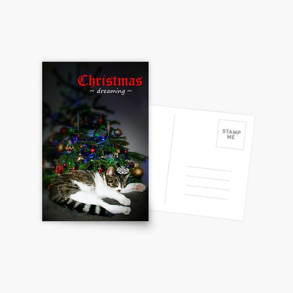 Greeting Card: Christmas Dreaming Postcard