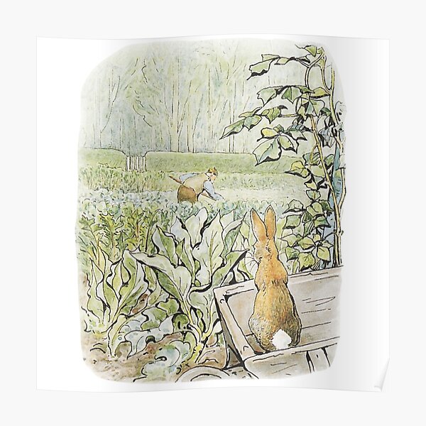 Beatrix Potter Peter Rabbit Illustration Poster