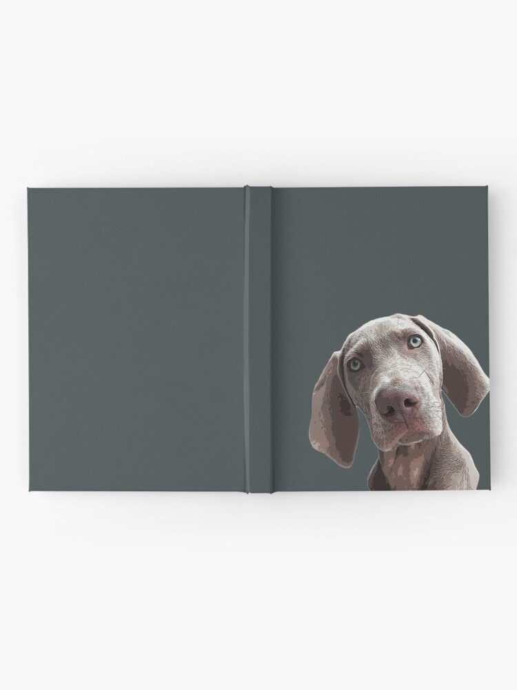 Weimaraner wrapping cheap paper