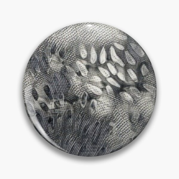 Item preview, Etched design designed and sold by Lisa Johnson.