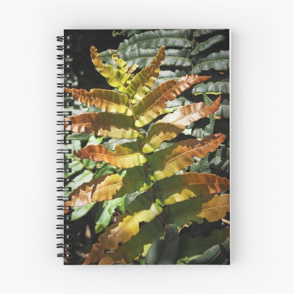 Item preview, Ferns unfurled designed and sold by migawadesign.