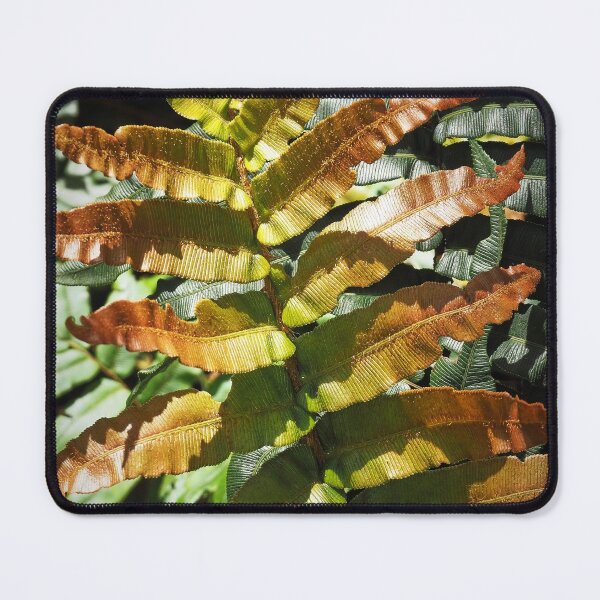 Item preview, Ferns unfurled designed and sold by migawadesign.
