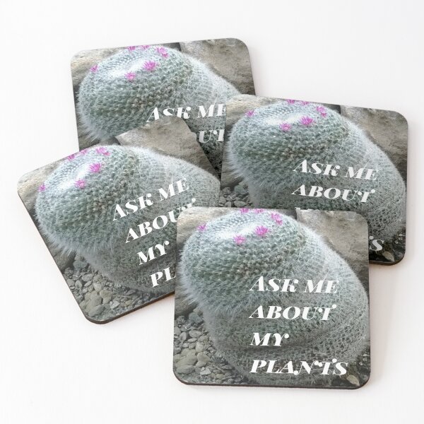 Item preview, Ask me about my plants mammillaria cactus designed and sold by glowvim.