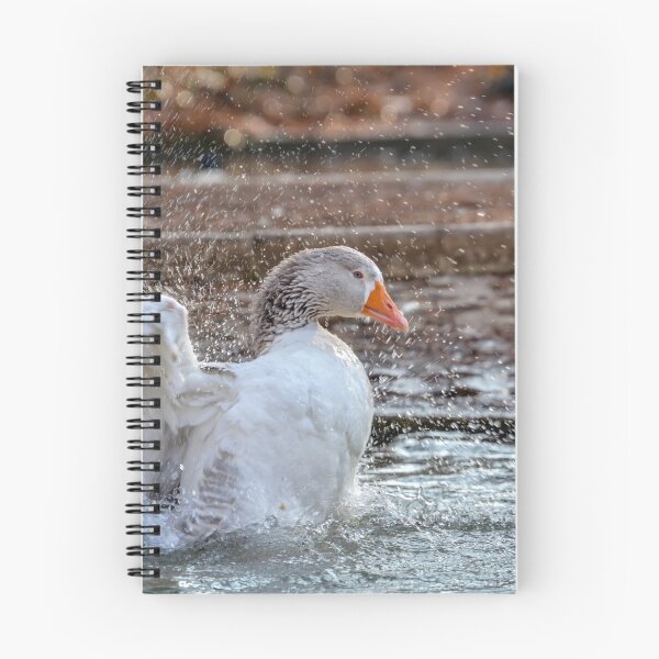 Item preview, Greylag goose washing and cleaning his feathers. designed and sold by Olimpia Negura.