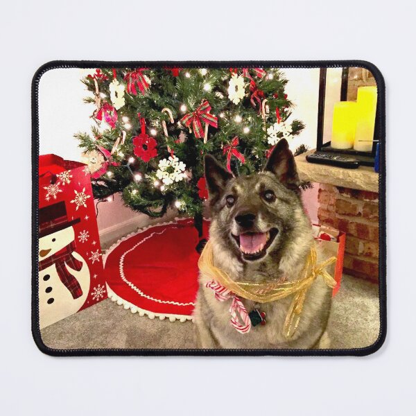 Item preview, Norwegian Elkhound In Front of Christmas Tree designed and sold by busybob.