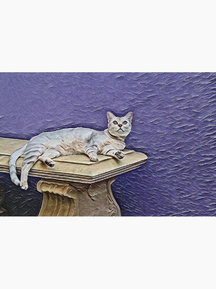 cat canvas by rogersmith