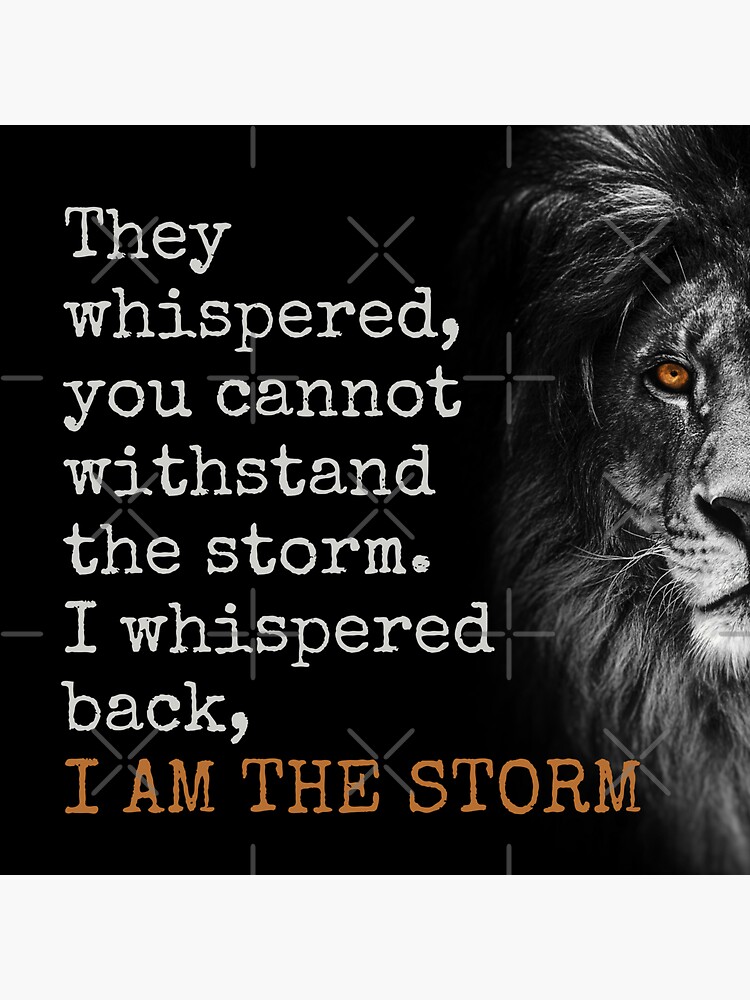 I am the storm!  Funny true quotes, Storm quotes, True quotes