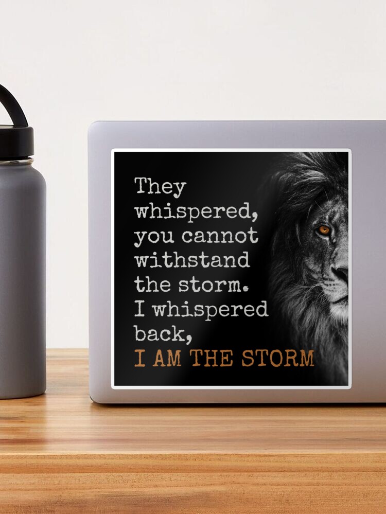 I am the storm!  Funny true quotes, Storm quotes, True quotes