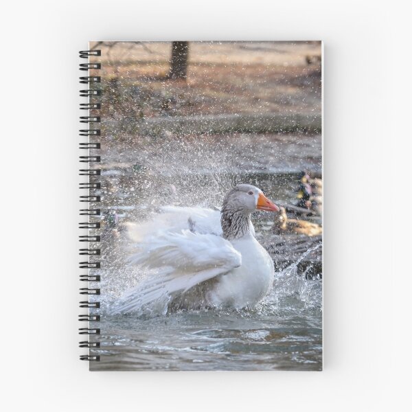 Item preview, Greylag goose washing and cleaning his feathers. designed and sold by Olimpia Negura.